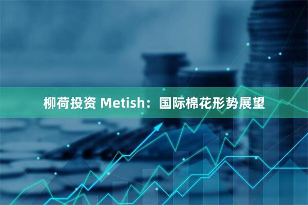 柳荷投资 Metish：国际棉花形势展望