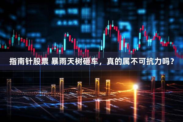 指南针股票 暴雨天树砸车，真的属不可抗力吗？