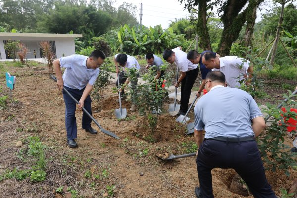 欧维策略 玲珑家园“蝶变”进行时