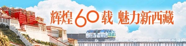 上升浪 粤货“闯”南亚有了高原新捷径：从这个陆地港出口省时近一月
